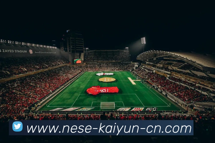 多媒体互动体验